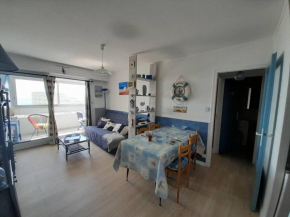 Appartement 4 pers avec loggia, vue mer, à 100m de la plage, petits chiens admis - FR-1-324A-11